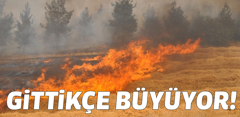 Pamukkale`de yangın ormana sıçradı