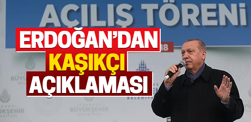 Cumhurbaşkanı Erdoğan`dan kaşıkçı açıklaması