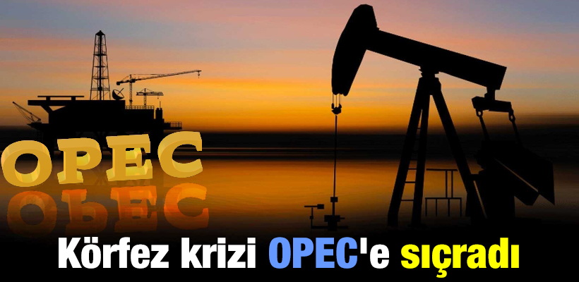 Körfez krizi OPEC`e sıçradı