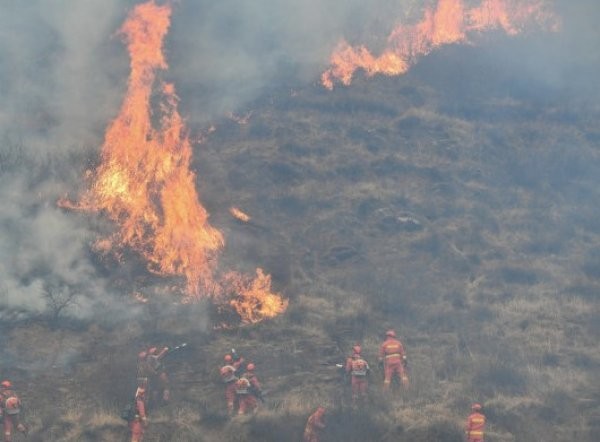 Çin’de orman yangını!