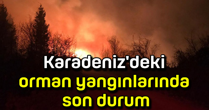 Karadeniz'deki orman yangınlarında son durum