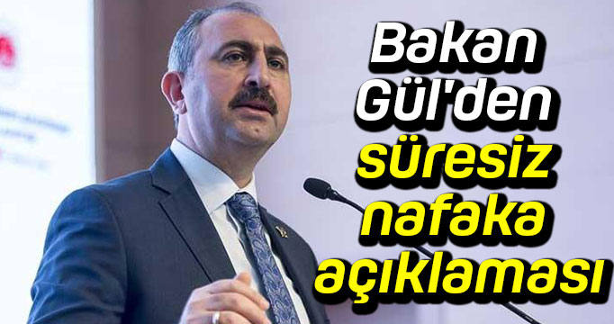 Bakan Abdulhamit Gül'den süresiz nafaka açıklaması