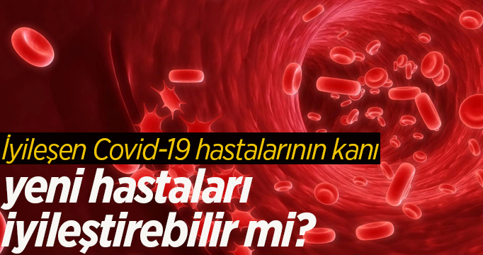 İyileşen Covid-19 hastalarının kanı yeni hastaları iyileştirebilir mi?