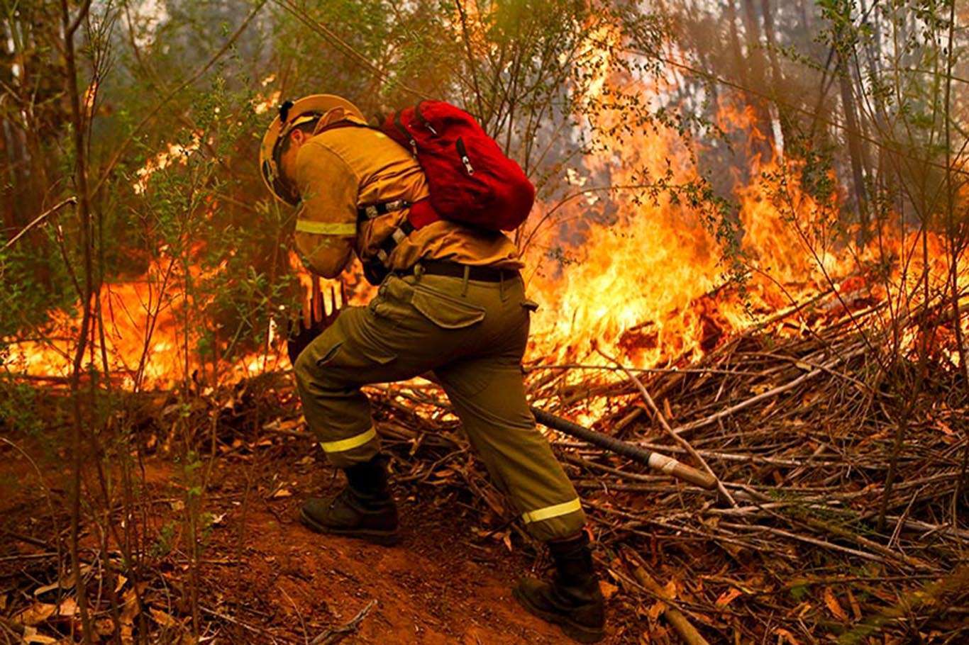 Лесные пожары меры защиты. Пожарная охрана лес. Спасение леса от пожара. Охрана лесов от пожаров. Пожарники в лесу.