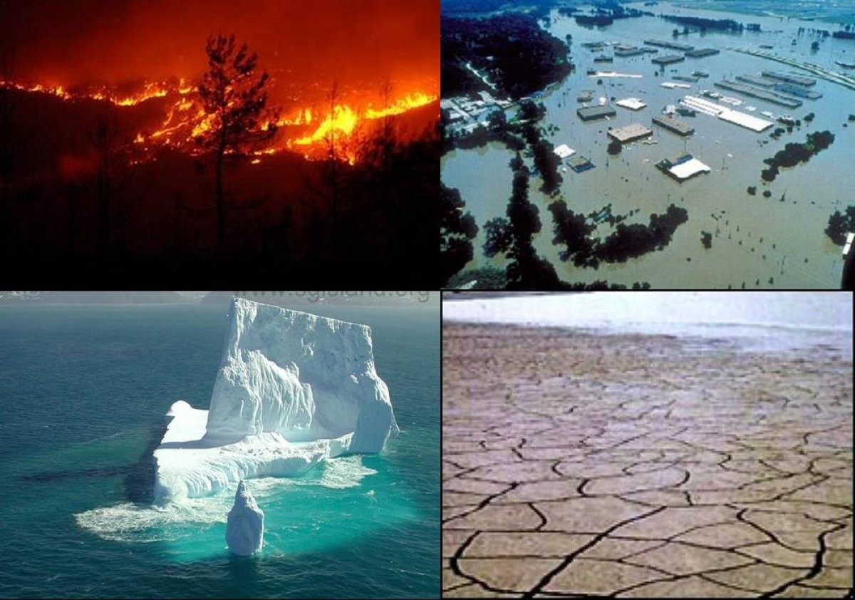 Изменение климата влияние на природу