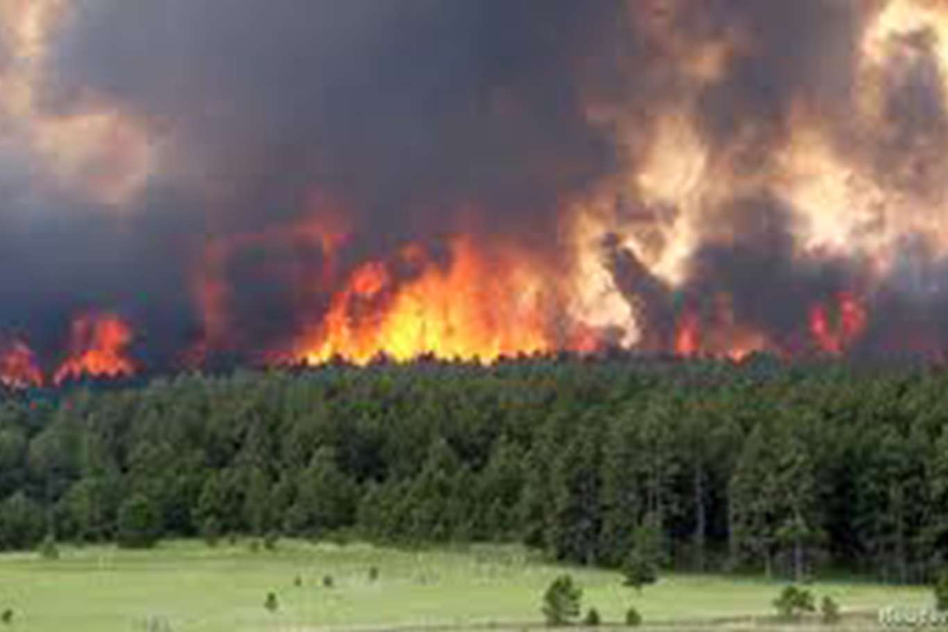 Лесные пожары видео. Крупные Лесные пожары. Пожар в лесу вид сверху. Лесные пожары в Колорадо. Лесной пожар панорама.