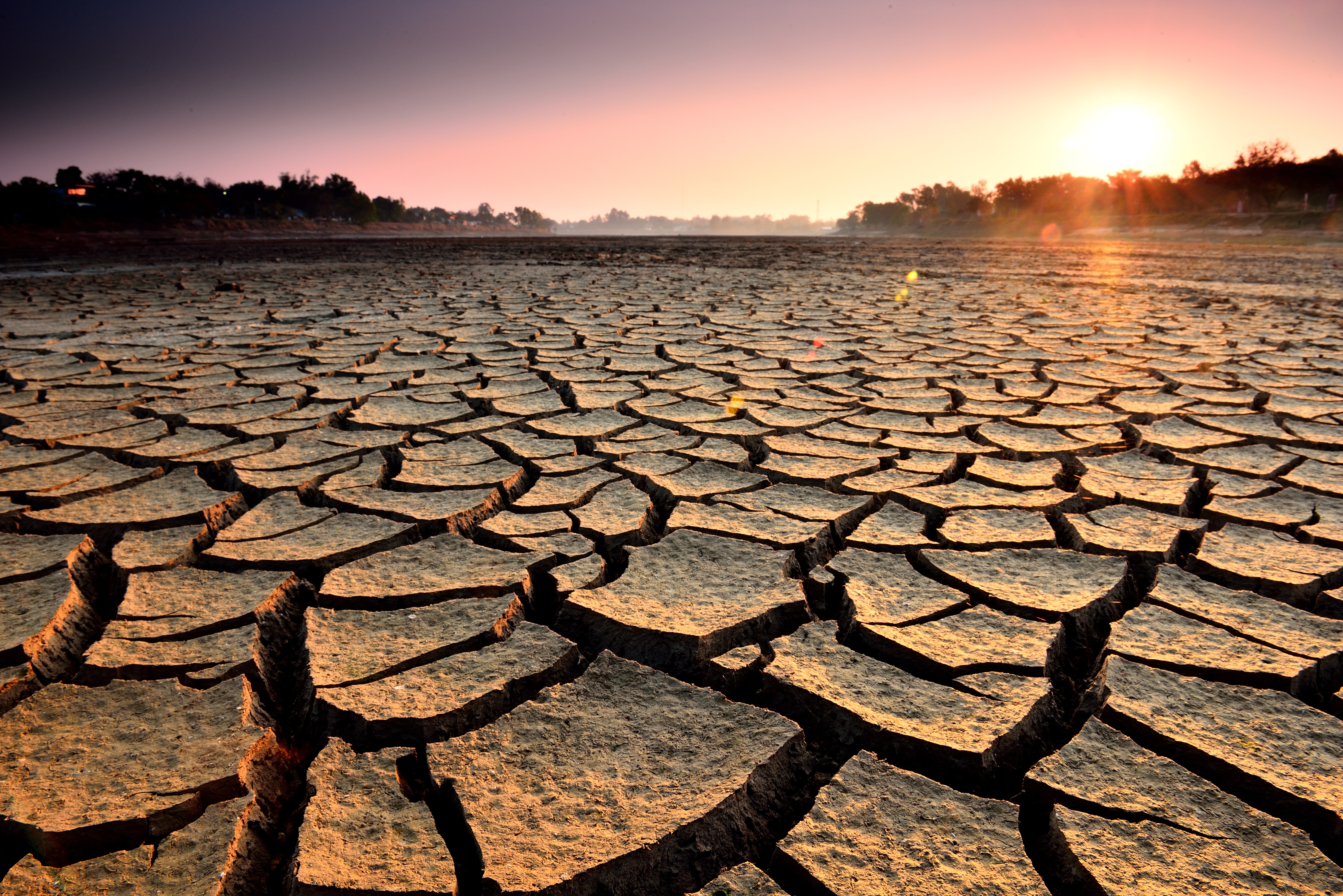 Глобальные проблемы азии. Засуха. Опустынивание земель. Засуха и наводнение. Засуха это стихийное бедствие.