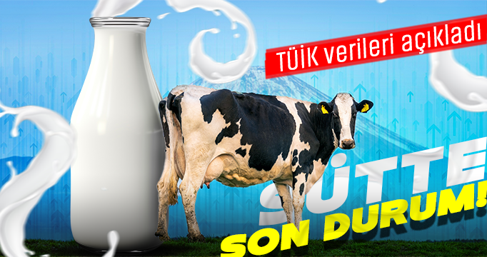 TÜİK açıkladı: İnek sütü miktarı şubatta arttı!