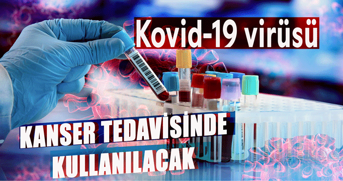 Kovid-19 virüsü kanser tedavisinde kullanılacak