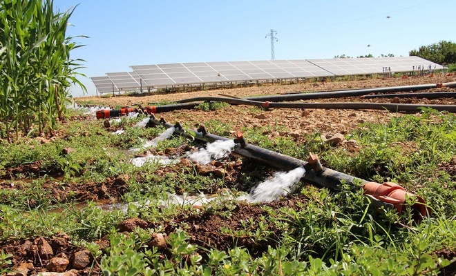 Sulama için güneş sistemi kuran çiftçi elektrik masrafından kurtuldu