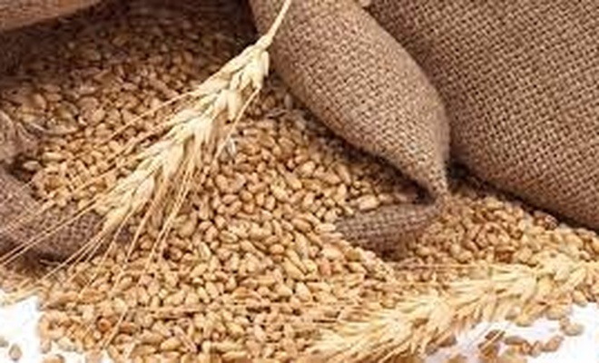 22 milyon ton tahıl depolarda bekletiliyor!