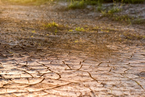 Il settore agricolo italiano potrebbe soffrire fino a 6 miliardi di euro a causa della siccità