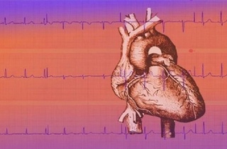 kalp atış hızı değişkenliği testi sağlık