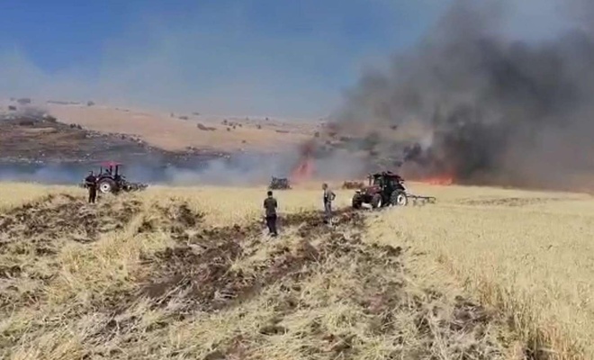 Elazığ'da çıkan yangında 150 dönüm ekili arazi zarar gördü