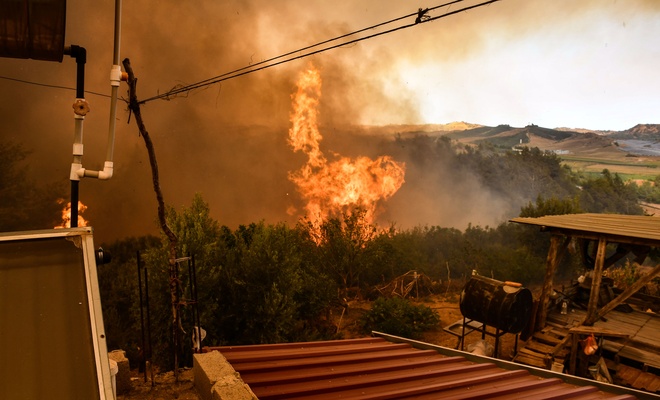 Adana'da tarlada başlayıp ormanlık alana sıçrayan yangın kontrol altında