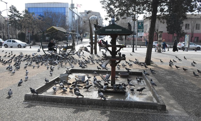 Şahinbey Belediye Başkanı Tahmazoğlu: “Sokak hayvanları bizlere emanet”