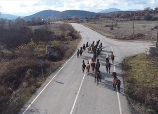 Isparta'da yılkı atları dronla kaydedildi