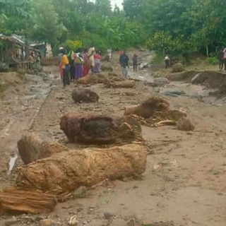 Uganda&#8217;da çamur selinde 4 kişi öldü, Nusaybin Medya