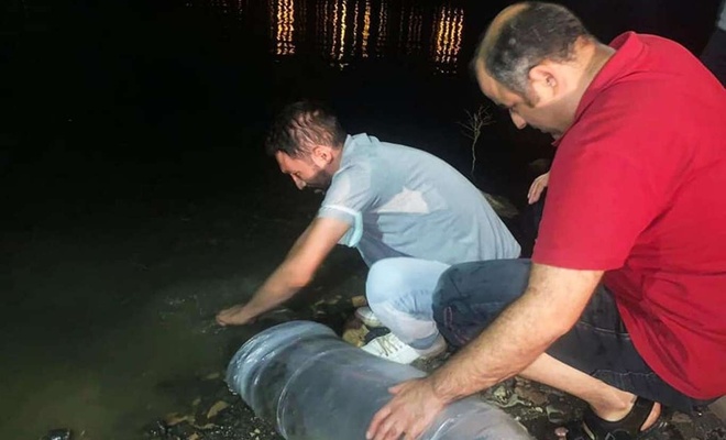 Mardin’de 918 bin yavru balık su kaynaklarına bırakıldı