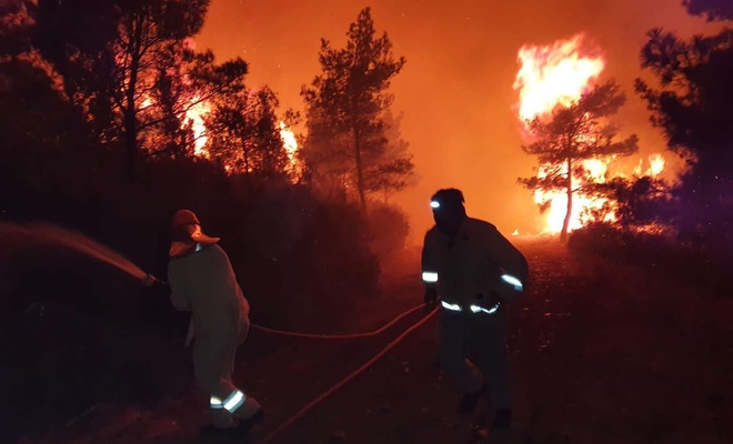 Muğla'daki orman yangınına 20 helikopter ve 14 uçakla müdahale ediliyor