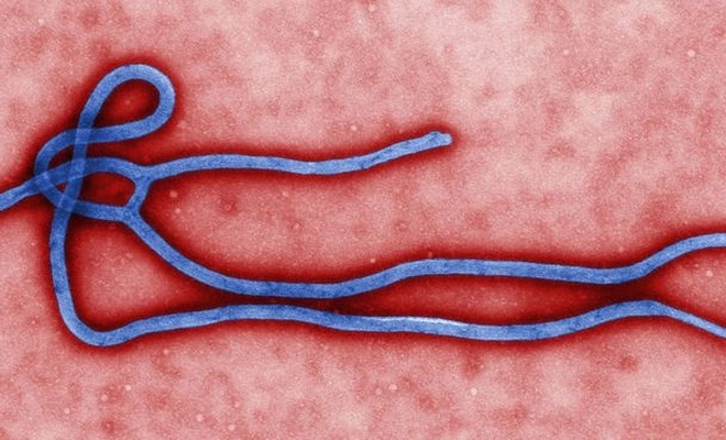 Ebola vakaları yeniden görülmeye başladı