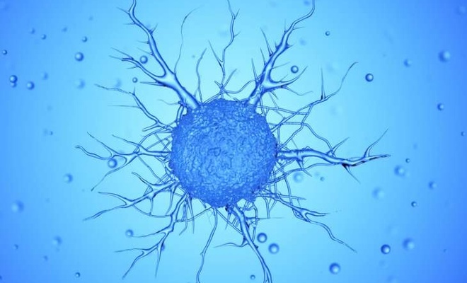 Kanser hücrelerinin büyümesinin sıcaklıkla ilişkisi var mı?