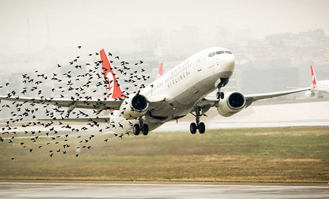 Kuşlara çarpan uçak, İstanbul'a döndü