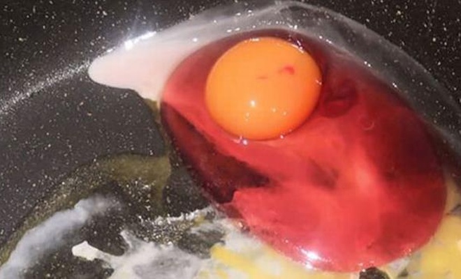 Kırmızı yumurtayı tüketmeyin!