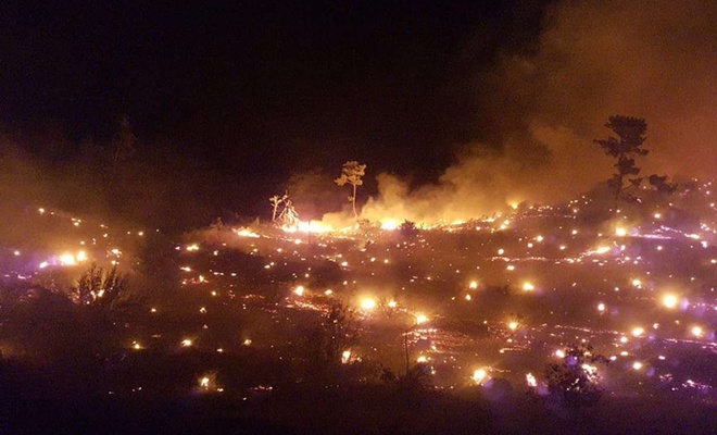 Muğla'daki büyük orman yangını kontrol altına alındı