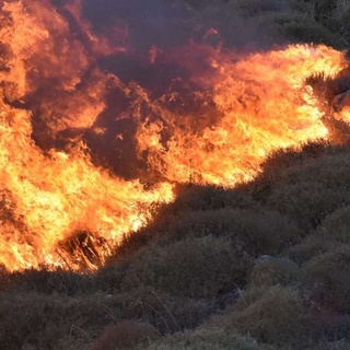 Muğla&#8217;da orman yangını, Nusaybin Medya