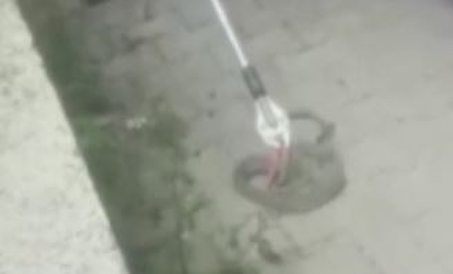 Karabük'te otomobilin tekerleğine giren yılan çıkarıldı