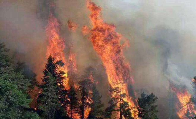 Orman yangınları 146 noktada kontrol altına alındı, 8 yangın sürüyor