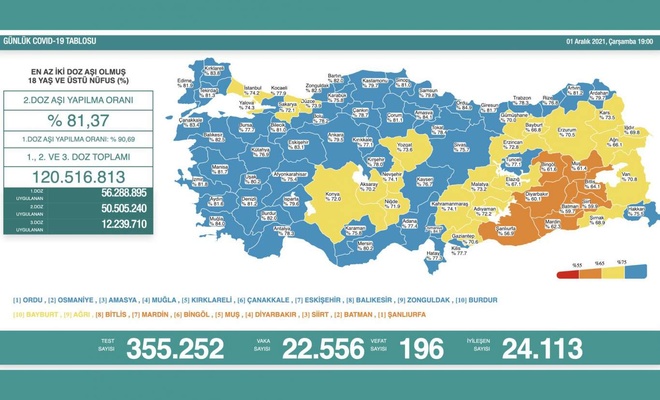 Türkiye'de 22 bin 556 yeni vaka tespit edildi, 196 kişi hayatını kaybetti