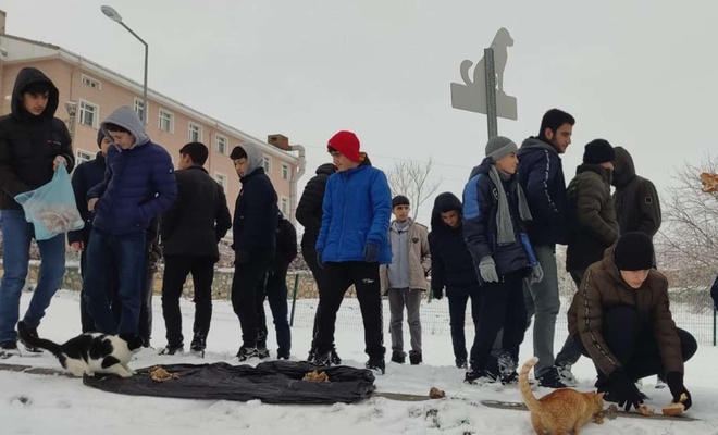 Kur'an kursu öğrencileri sokak hayvanları için yem bıraktı