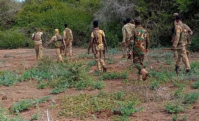Somali ordusu: 40 Eş-Şebab üyesi öldürüldü