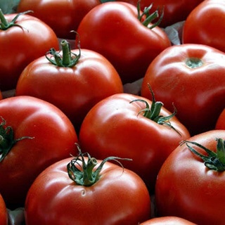 İhracı Kayda Bağlı Mallar Listesi&#8217;ne domates eklendi, Nusaybin Medya