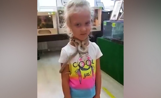 Küçük kızı zehirli yılan ısırdı
