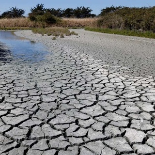 Fransa&#8217;da kuraklık kaynaklı su sıkıntısı üst seviyelerde, Nusaybin Medya