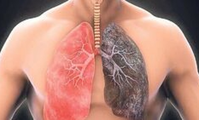Akciğer rahatsızlığı olanlar dikkat! Günde bir kez tüketin!