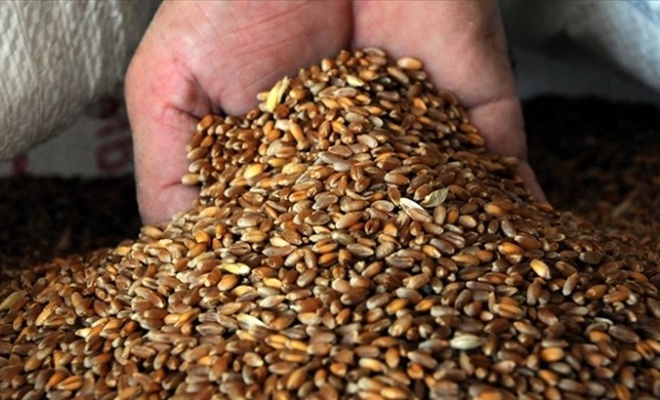 Yemen'de buğday stokları tükenmek üzere