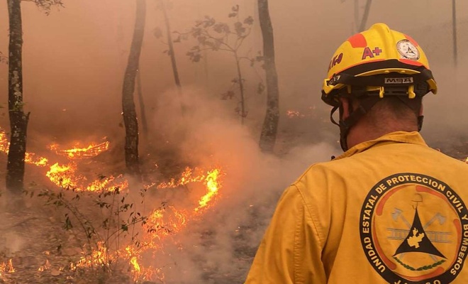 Meksika’da 33 ayrı noktada aktif orman yangını açıklandı