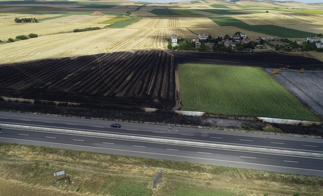 Tekirdağ'da 50 dönüm tarım alanı yandı