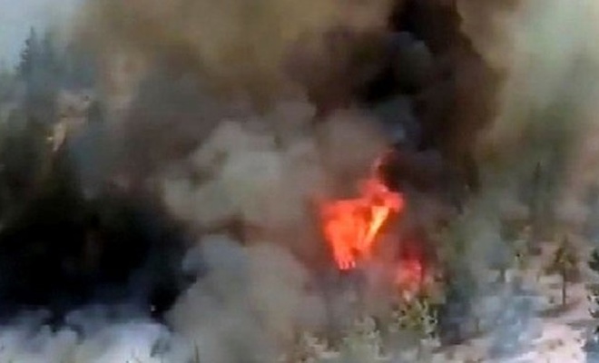 Şimdi de Kahramanmaraş'ta orman yangını! Orman yangınları tekrar gündeme oturuyor